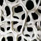 Simone Filosi and the challenge to the material. - Via dei Fossi 26/r, Florence